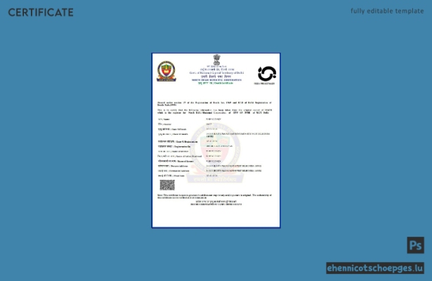 Vorschau einer Sterbeurkunde der Regierung von Delhi, Indien